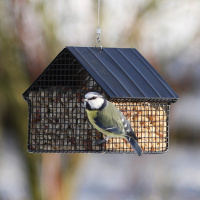 Wildlife Garden hus til jordnødder - sort